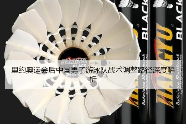 里约奥运会后中国男子游泳队战术调整路径深度解析