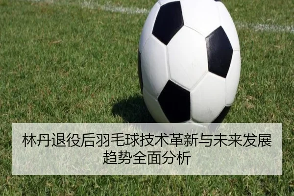 林丹退役后羽毛球技术革新与未来发展趋势全面分析